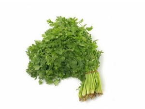 香菜